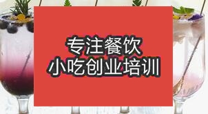 石家莊新樂市哪里可以學習夏日飲品