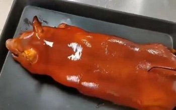 烤乳豬培訓(xùn)