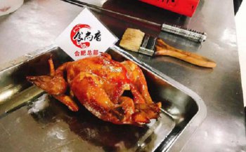 乳鴿培訓(xùn)