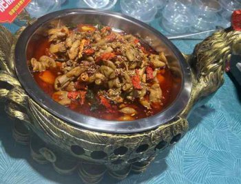 <b>燒雞公培訓地址在哪里</b>