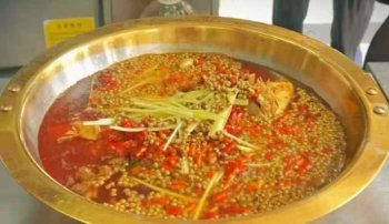 <b>美蛙魚頭火鍋培訓地址在哪里</b>