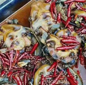 <b>鐵板甲魚培訓口碑怎么樣</b>