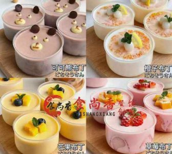 <b>布丁培訓哪里正規</b>